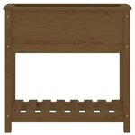 vidaXL Jardinière avec étagère Marron miel 82 5x34 5x81 cm Bois de pin