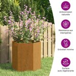 vidaXL Jardinière Rouillé 40x40x45 cm Acier corten