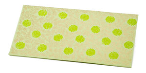 PAPERTREE MONSOON Lot de 5 Enveloppes cadeau 19*10cm -  Anis