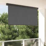 vidaXL Store Roulant Extérieur Striped Anthracite 220 x 250 cm tissu