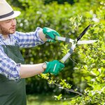 Cisaille à haie lames ondulées - Suan - Revêtement anti adhérence - Dimensions : 58 x 23 cm