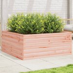 vidaXL Jardinière 110x110x46 cm bois massif de douglas