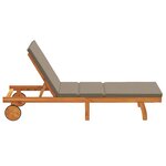 vidaXL Transat 1-personne Marron 63 x 199 x 85cm Bois d'acacia massif