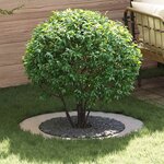vidaXL Anneaux d'arbre plats 5 Pièces Argent Ø30 / 60 cm Acier inoxydable
