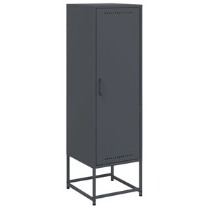 vidaXL Buffet haut anthracite 36x39x123 cm acier