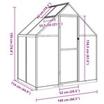 vidaXL Serre avec cadre de base anthracite 169x114x195 cm aluminium