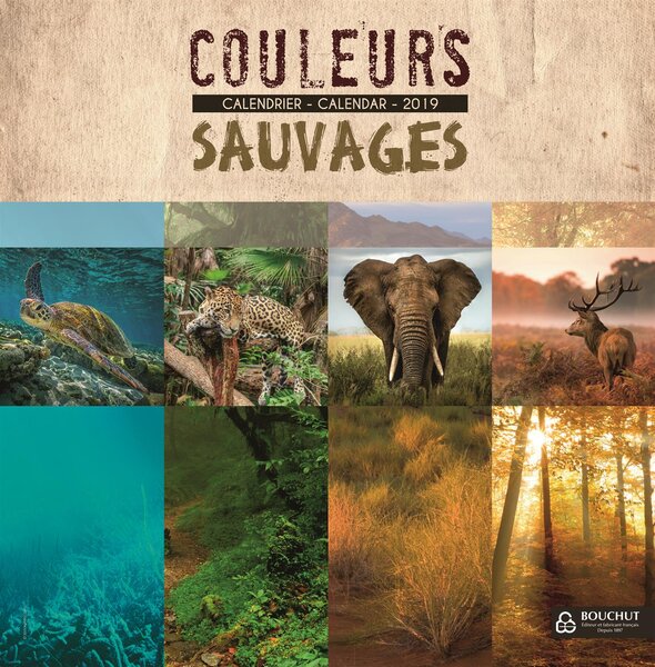 Calendrier illustré souple 'Couleurs Sauvages' 30 x 30 cm BOUCHUT