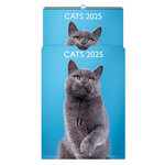 Calendrier Mural 2025 Décoration 29x39 Cm - Chats - Draeger paris
