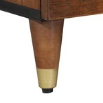 vidaXL Meuble TV Marron 100 x 33.5 x 46 cm Bois de manguier massif