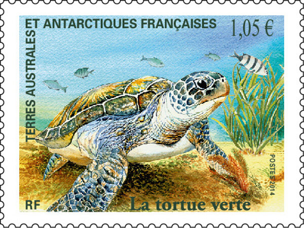 TAAF - La tortue verte de l'océan indien