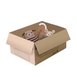 Pack and Move - Lot 60 cartons déménagement stockage S - 36 x 28 x 18 cm - Poignées renforcées - 3 adhésifs offerts