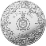 Monnaie THE FOUR SEASONS Set 4x1 Oz Argent 2$ Niue 2026 (PRÉCOMMANDE)