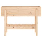 vidaXL Lit surélevé de jardin 101x30x69 cm bois de pin massif