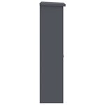 vidaXL Boîte de dépôt de colis Anthracite 44.5 x 29 x 110.5 cm Acier