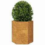 vidaXL Jardinières 2 Pièces hexagone 46x40x45 cm acier patinable