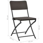 vidaXL Chaises pliables de jardin lot de 2 PEHD et acier