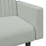 vidaXL Ensemble de canapés 2 Pièces gris clair velours