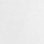 vidaXL Toison végétale 2 rouleaux 70 g/m² 50x1 6 m