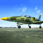 Pilote d'un jour en floride : vol de 30 minutes en avion de chasse l-39 albatros - smartbox - coffret cadeau sport & aventure