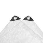 vidaXL Couverture pour plantes Transparent 2 x 2 m PVC