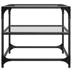 vidaXL Tables basses avec dessus en verre transparent 2 Pièces acier