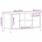 Meuble TV vidaXL Artisan Chêne 100x40x50 cm Bois d'ingénierie et Acier