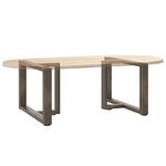 vidaXL Pieds de table basse en T  2 pièces  noir  70 x 25 x (42-43) cm  acier