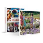 SMARTBOX - Coffret Cadeau Sortie découverte : 1 entrée adulte pour le parc France Miniature -  Multi-thèmes