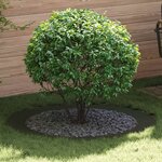 vidaXL Anneaux d'arbre plats 5 Pièces Vert olive Ø90 / 120 cm Acier