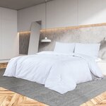 vidaXL Ensemble de housse de couette Blanc 200x220 cm Microfibre