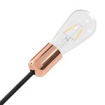 vidaXL Plafonnier avec ampoules à filament 2 W Noir et cuivre E27