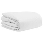 vidaXL Ensemble de Duvet avec oreiller 3 pc Blanc Plume de canard