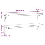 vidaXL Étagères murales 2 Pièces 100x30 cm argenté acier inoxydable