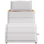 Chaise longue vidaXL avec coussin gris clair en bois d'acacia