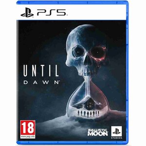 Jeu PS5 Until Dawn