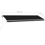 vidaXL Auvent automatique sur pied 600x350 cm Anthracite