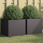 vidaXL Jardinières 2 Pièces noir 42x40x39 cm acier laminé à froid