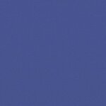 vidaXL Auvent latéral rétractable bleu 117x300 cm