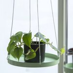 Esschert Design Plateau suspendu pour plantes Rond Vert L