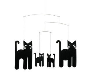 Cats