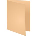 Paquet 100 chem Foldyne180 bord décalé bulle EXACOMPTA