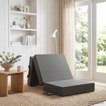 vidaXL Canapé-lit pliable 75 x 67 x 45 cm Gris clair