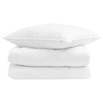 vidaXL Duvet d'été simple avec oreiller 2 pc Blanc Plume de canard
