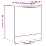 vidaXL Armoire à chaussures chêne fumé 60x34x63 5 cm bois d'ingénierie