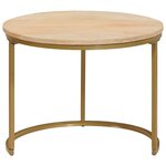 vidaXL Tables basses gigognes 2 Pièces Bois de mangue massif et acier