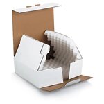 Boîte postale carton blanche avec calage mousse raja 18x12x5 cm (lot de 50)