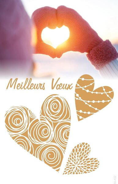 Lot 5 cartes meilleurs vœux doré brillant + 5 enveloppes blanches format 14x9cm