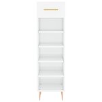 vidaXL Armoire à chaussure Blanc brillant 30x35x105 cm Bois ingénierie