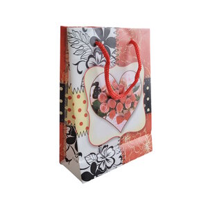 Pochette Cadeau Souple en Plastique  Élégante et Pratique - Bouquet de Rose