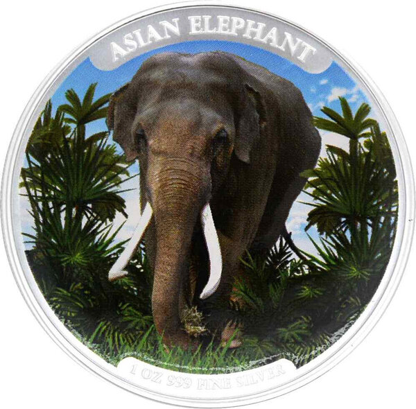 Pièce D’Argent Éléphant – Somalie 2023 – 1 Once (31,1 G) – Pureté 99,99 % – Finition Miroir Et Satinée – Boîtier Plastique
